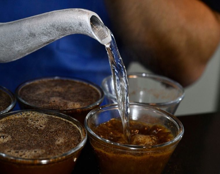 Melhor torrefadora de café da França estará na Semana Internacional do Café 2019