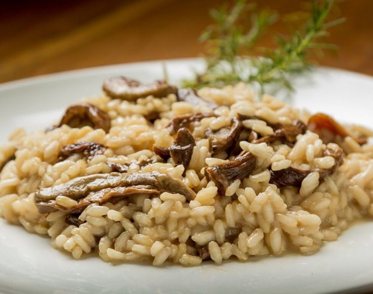 Cogumelos ganham o paladar do brasiliense A iguaria é uma ótima fonte de proteína e minerais, substituindo qualquer tipo de carne