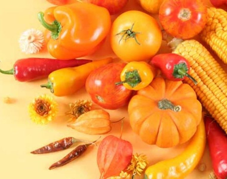 Dicas para manter a hidratação e alimentação saudável no verão