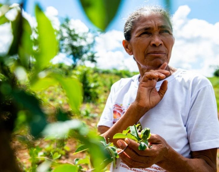 Culinária tradicional e rural sergipana é retratada em livro que resgata alimentos esquecidos e histórias de quem preserva essas comidas